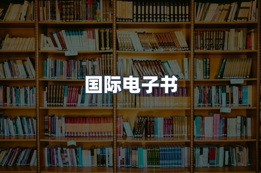 国际电子书